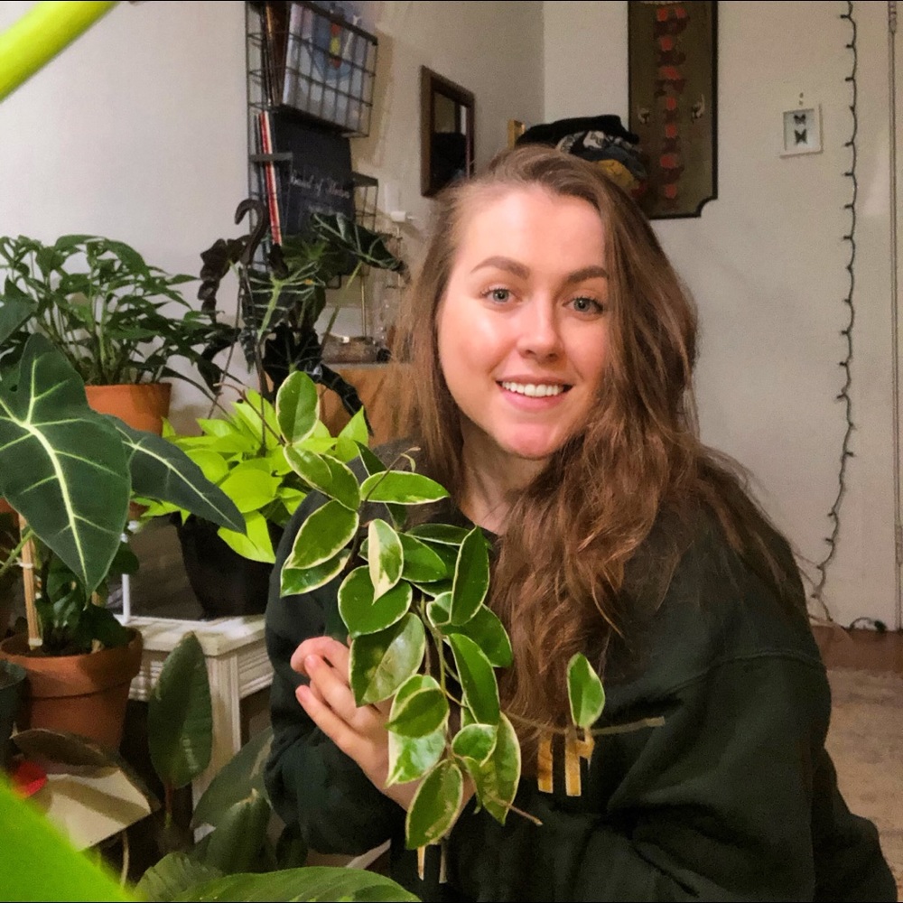 Meet your Posher, Isabel